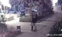 吃瓜爆料完整在线视频,完整在线视频背后的惊人真相