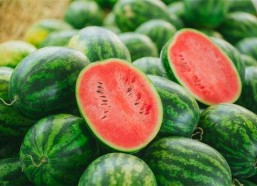 二豆娱乐吃瓜,揭秘娱乐圈吃瓜背后的真相