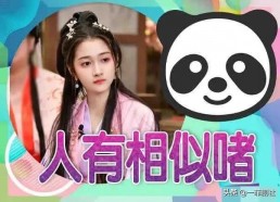 娱乐圈吃瓜爆料模板下载,明星背后的惊人真相，吃瓜群众必看！