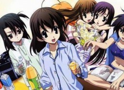 后宫番动漫,宫廷争斗，爱恨情仇