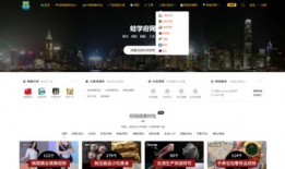 网站视频,[视频标题]背后的精彩故事