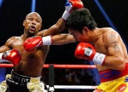 吃瓜娱乐拳击比赛视频大全