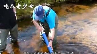 娱乐吃瓜老少女是谁啊,她是如何成为网络红人的？